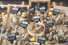 Assorted-Oysters_1-min